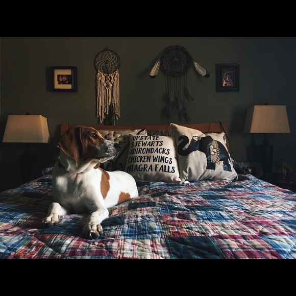 make a request - Picture 6 of 8